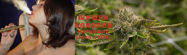 кокс Козловка