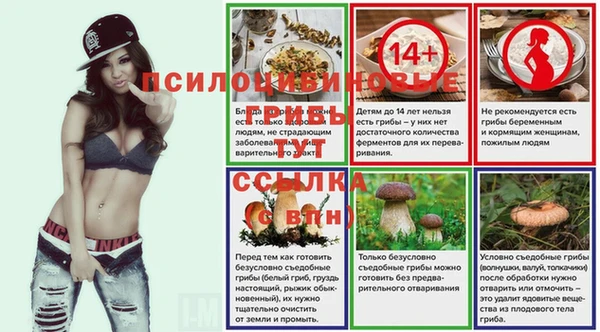 первитин Козельск