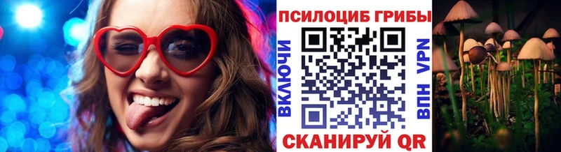 Купить где  Ак-Довурак  Псилоцибиновые грибы Magic Shrooms 